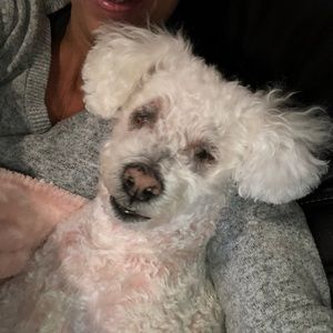 Meet your Posher, Grace